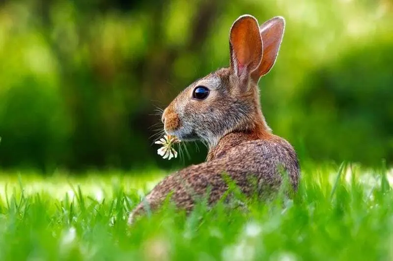 Ferienprogramm in den Osterferien